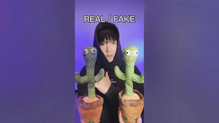 REAL / FAKE #beatbox #TeamREAL