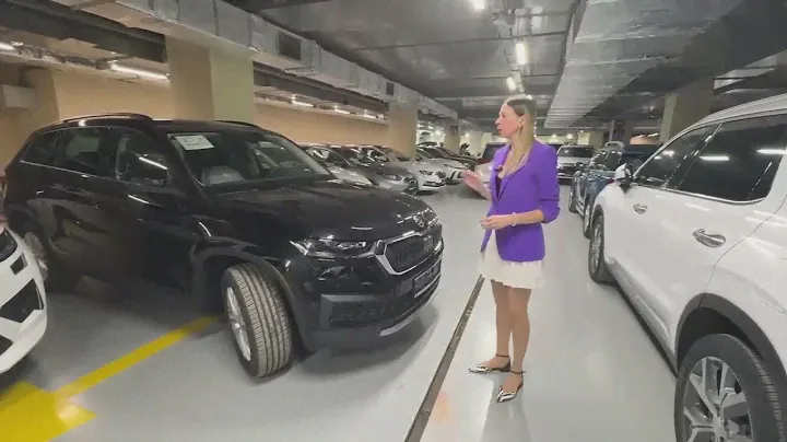 Своеобразный Skoda Kodiaq.  Лиса рулит