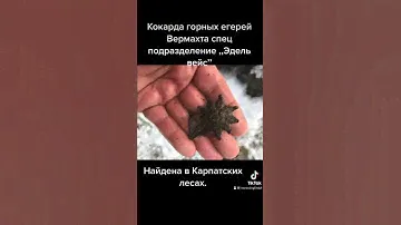 Кокарда горных егерей Вермахта спец подразделение,,Эдельвейс ‘’