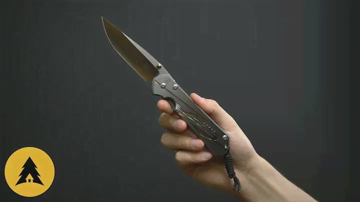 Складной нож Chris Reeve Large Sebenza 21