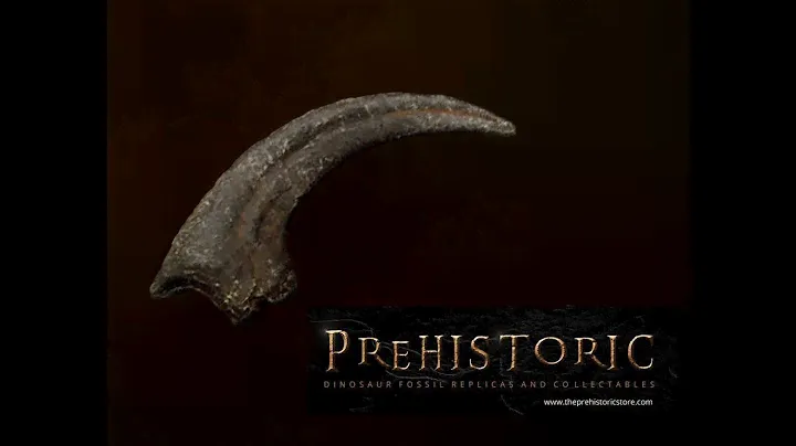 Amazing Life Size Velociraptor Killing Claw Fossil Replica !