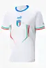 Мужская футболка PUMA FIGC Away Jersey Replica