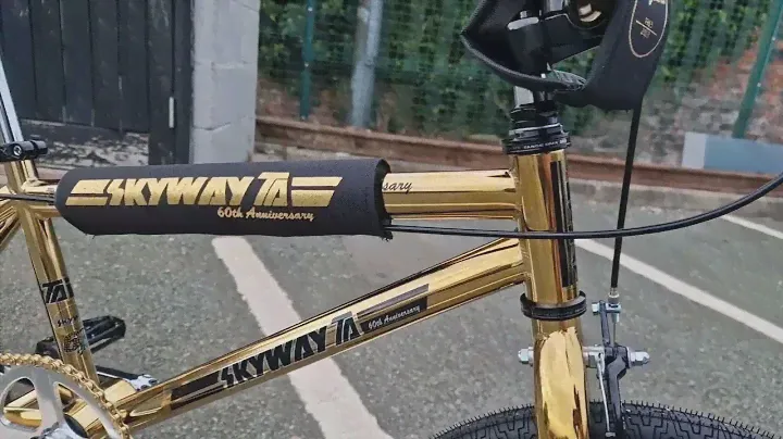 ALANS BMX: Skyway T/A 60th Anniversary Build