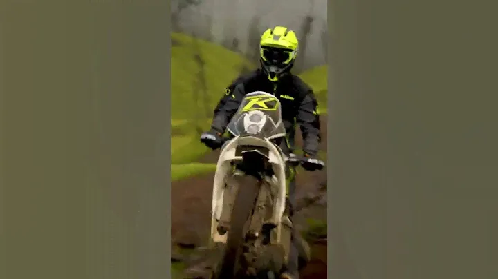 KTM 450 Rally Factory Replica