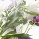 Replica Flower Market Туалетная вода