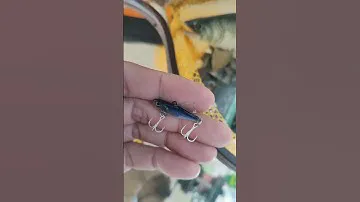 Little Jack Micro Forma Lure