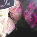 Replica Flower Market Туалетная вода