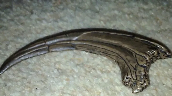 Deinonychus 'Killing Claw' Replica Review