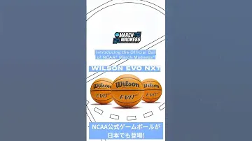 ウイルソン NCAA公式ゲームボール EVO NXT