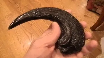 Jurassic Park Velociraptor Claw